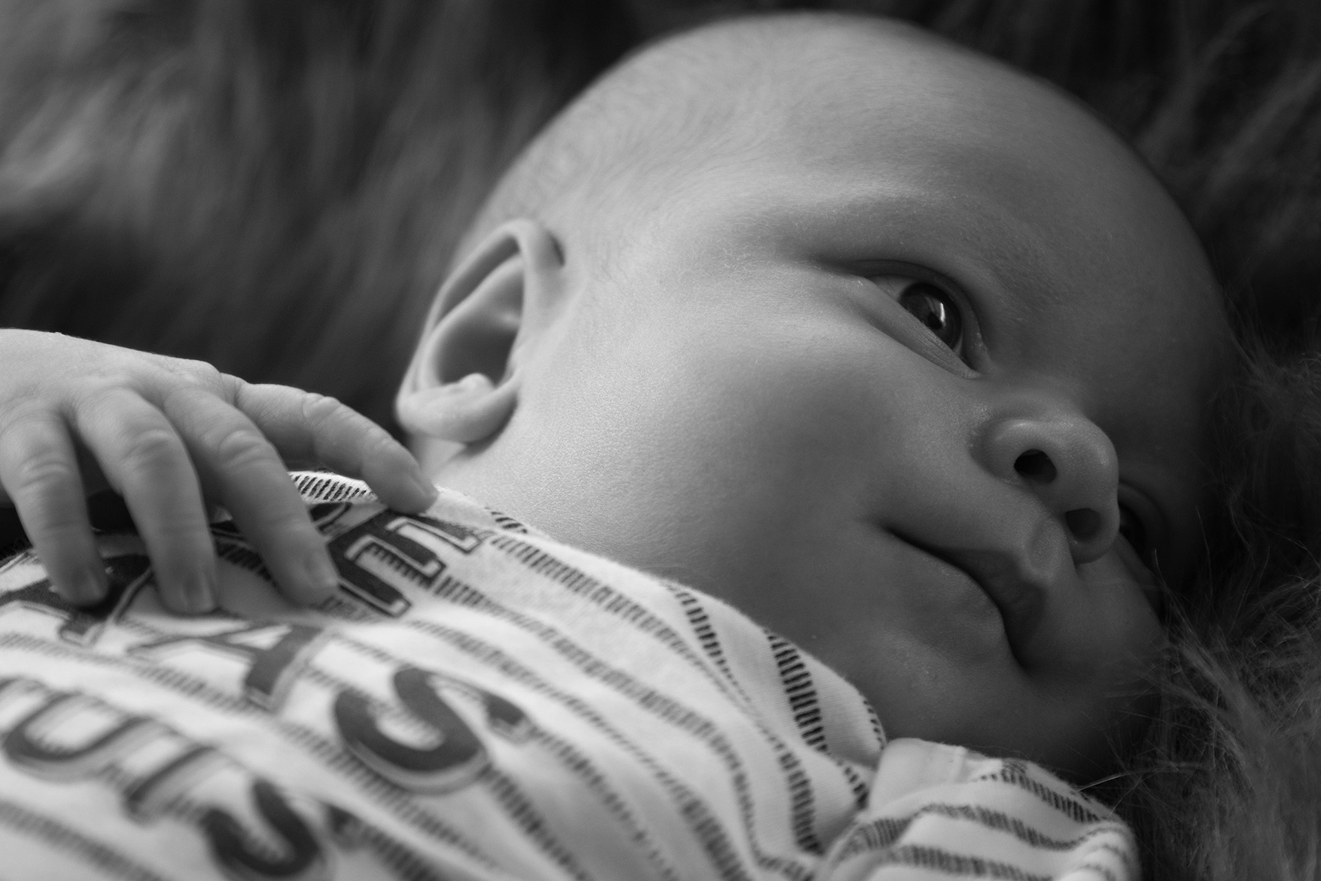 Newborn shoot