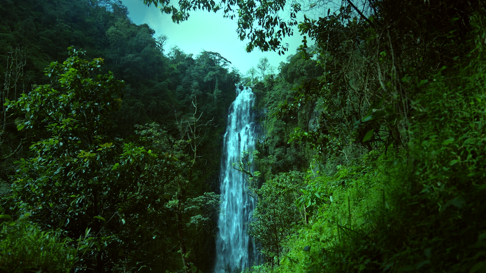 Videobeeld met Sony LUT en cinematic color grading